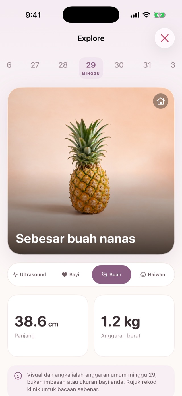 Skrin Explore: minggu 29, sebesar buah nanas, 38.6 cm dan 1.2 kg